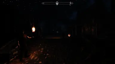 Night, front gate of Whiterun.
