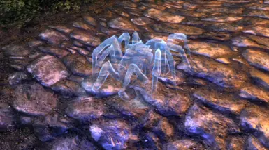 Xavier's Spider