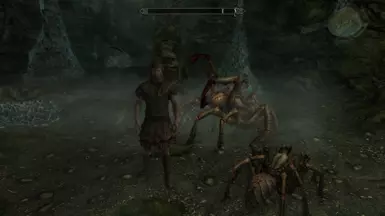 Hanging out with the spiders