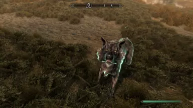 Might make a good dog...