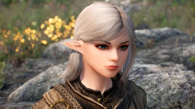 GK Elf Follower Pack Special Edition at Skyrim Special 