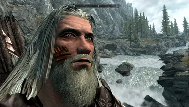 Diverse Scars at Skyrim Special Edition Nexus - Mods and Community