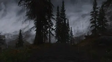 Road