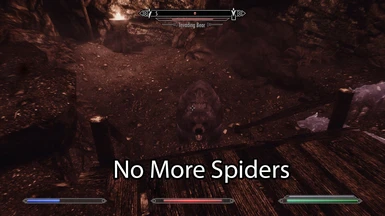 Bears have invaded and spiders are no more