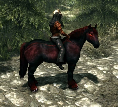 New Fancy Shoes for Shadowmere