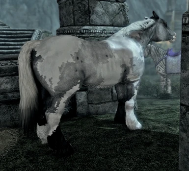 In-Game Markarth Blue Roan Pinto