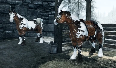 In-Game Windhelm Bay Spotted Pinto