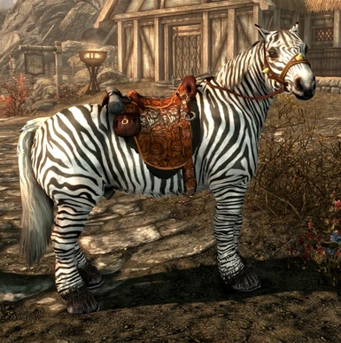 In-Game Whiterun Zebra