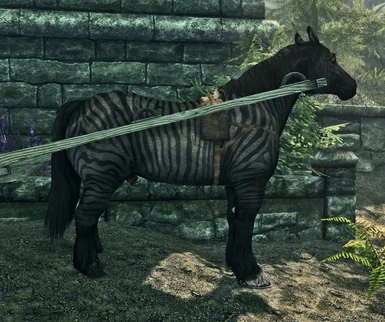 In-Game Windhelm Black Zorse