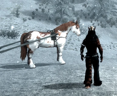 In Game - Windhelm Chestnut Tobiano