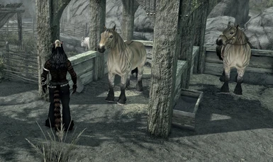 In Game - Solitude Extinct Primitive Horse