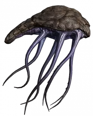 Once again, not my Netch but a Netch image I found on google.