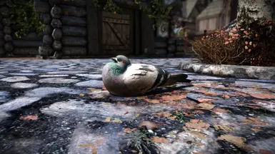Roundest Boi
