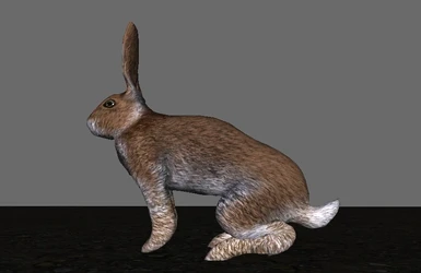 Hardy Hares enhances limbs for a hardier and more realistic appearance!