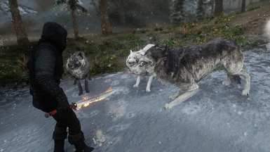 Wolves of Cyrodiil