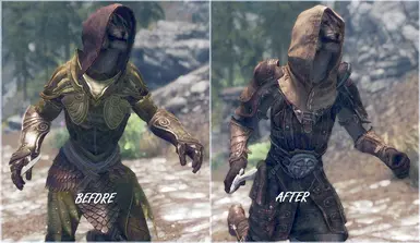 Roadside Thief Simple Armor SSE