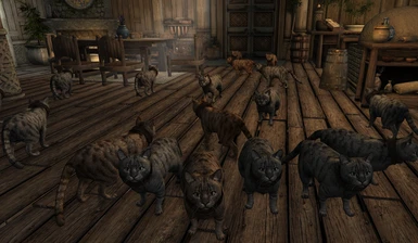 Mihail's House Cats, different variants