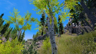Fantasy Tree Overhaul - Dolomite Weathers