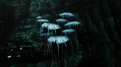 My Mod - Rally's Glowing Mushrooms