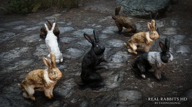 Real Rabbits HD - Color Variants and High Poly Mesh with Fur