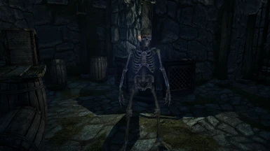 Raising a non-person, such as a skeleton, with the no person restriction version of the mod