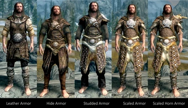 Skyrim se light armor mods 10