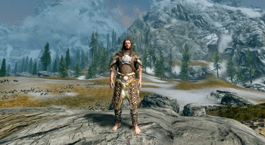 13 Scaled Armor male front