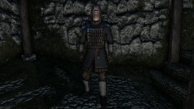 New Heavy Hauberk with Lamellar and Pauldrons made specially for Windhelm officers