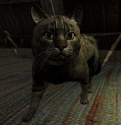 fallout 4 house cat
