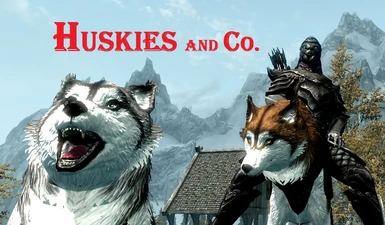 Huskies and Co