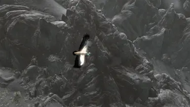 Birds Of Skyrim Sse Edition At Skyrim Special Edition Nexus Mods And Community