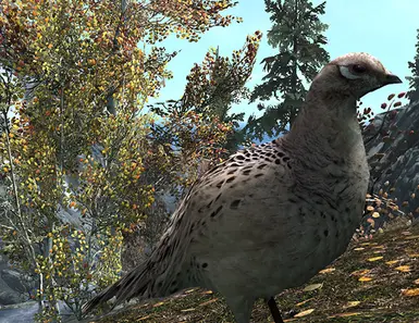 Birds Of Skyrim Sse Edition At Skyrim Special Edition Nexus Mods And Community