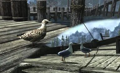 Birds Of Skyrim Sse Edition At Skyrim Special Edition Nexus Mods And Community