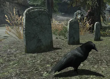 Birds Of Skyrim Sse Edition At Skyrim Special Edition Nexus Mods And Community