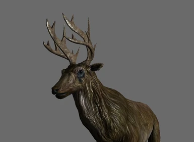 Dramatic Deer's new antlers transforms female elk into a Deer Buck!