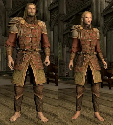 Dawnguard Jarl Warcoat at Skyrim Special Edition Nexus - Mods and Community