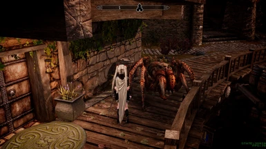 Surprise attack in the middle of Riften