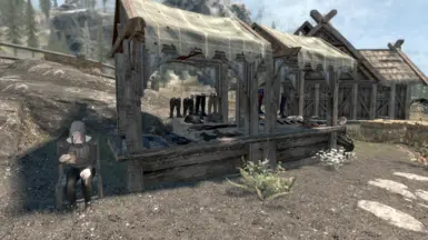 3.0 NEW WHITERUN MARKET ADDON