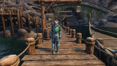 Haldyn with Zora Scout Armor, Vanilla Hair Replacer, and turned into a Maomer via Lost Races of Aetherius.