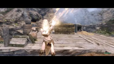 Variation within Forsworn casters - Druid and Shaman sub-types.