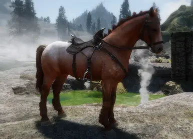 skyrim se horse mod