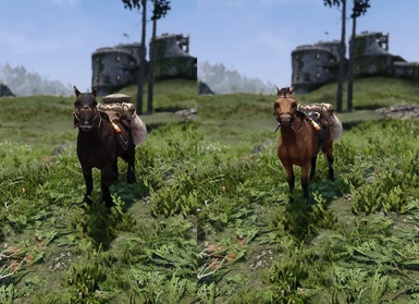 horsie before and after (with convenient horses)