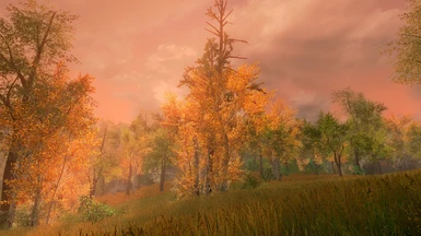 Meadows full vanilla screenshot