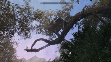 Two hunting platforms available in Trees