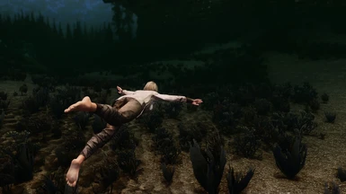 Stronger Swimming Animation SE at Skyrim Special Edition Nexus - Mods and  Community