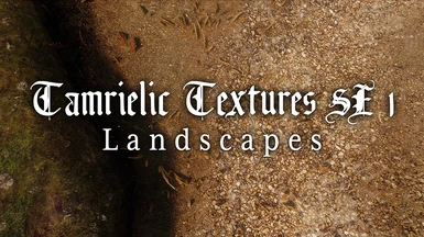 Tamrielic Textures SE 1 - Landscapes