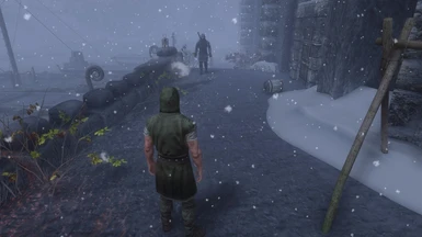 Better Dynamic Snow and Snowy AF Windhelm Before