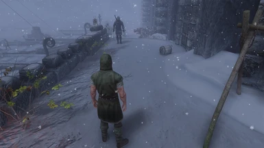 Better Dynamic Snow and Snowy AF Windhelm after