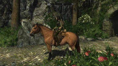 Such beautiful horse! Thank you so much! Enderal LE