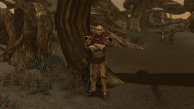 The Telvanni Guard with their own Bonemold Armor version